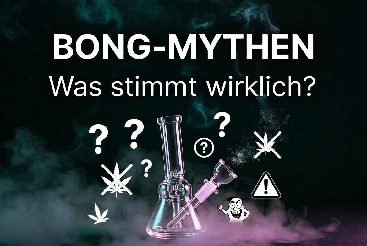 Bong-Fakten und Vergangenheit