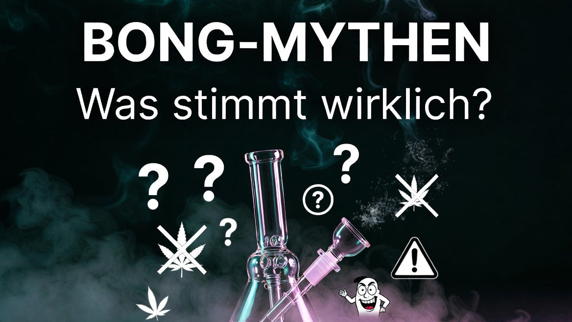 Bong-Fakten und Vergangenheit
