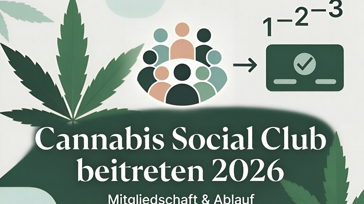 Cannabis Social Club