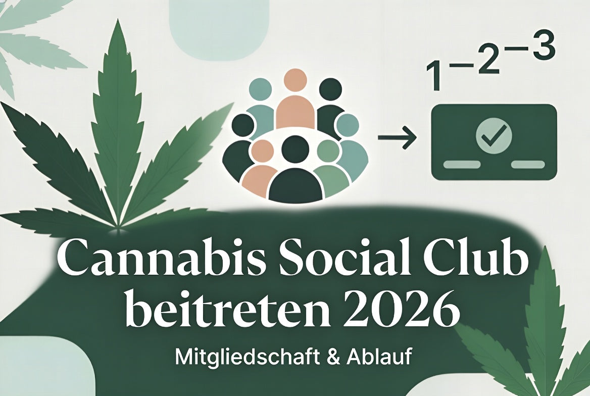 Cannabis Social Club